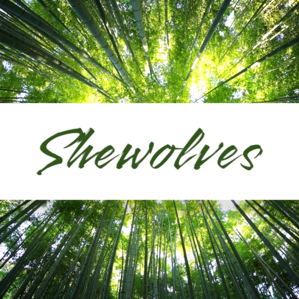 Womens Section - image 1